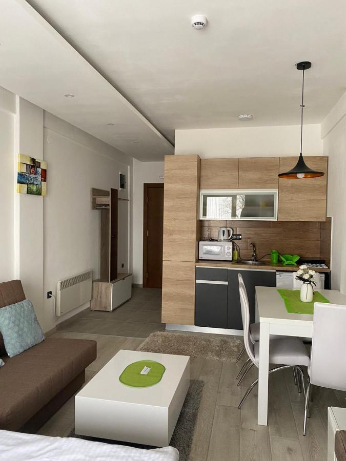 Milmari Apartman P03 科帕奥尼克 外观 照片